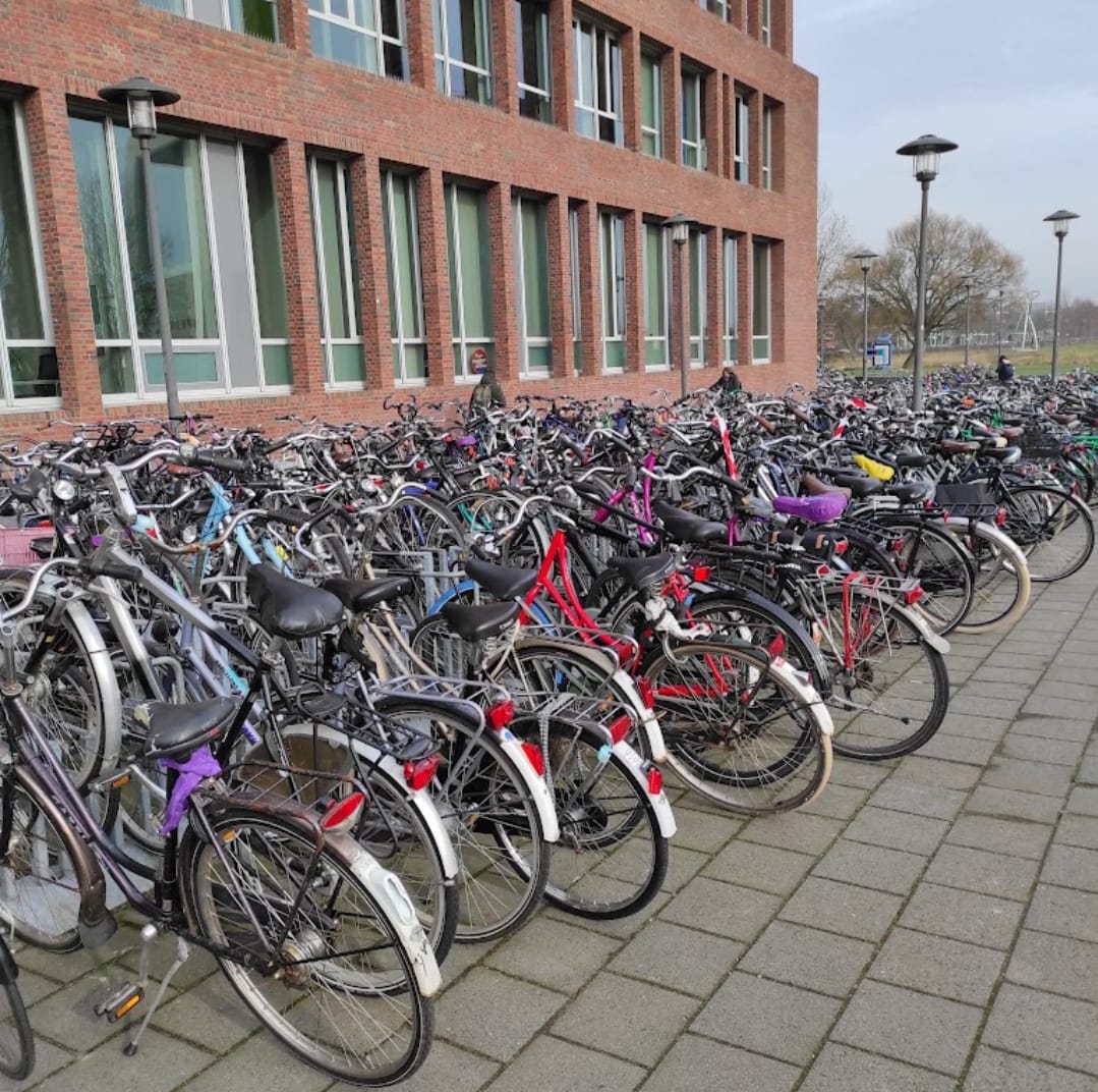 FellowshipBard: 12 Program PhD Yang Didanai Sepenuhnya di Wageningen University & Research, Belanda