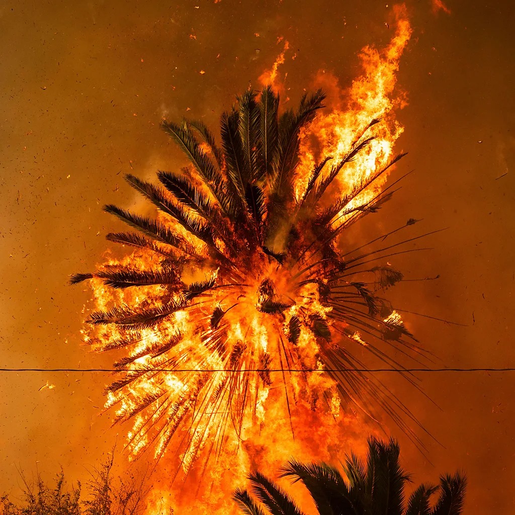 Lima Foto Ini Menjelaskan Mengapa Kebakaran Los Angeles Menyebar Sangat Cepat