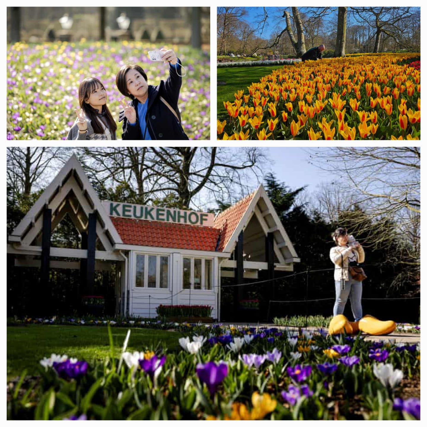 Taman Tulip Yang Indah di Belanda Kasih Ruang Generasi Selfie Untuk Foto Foto