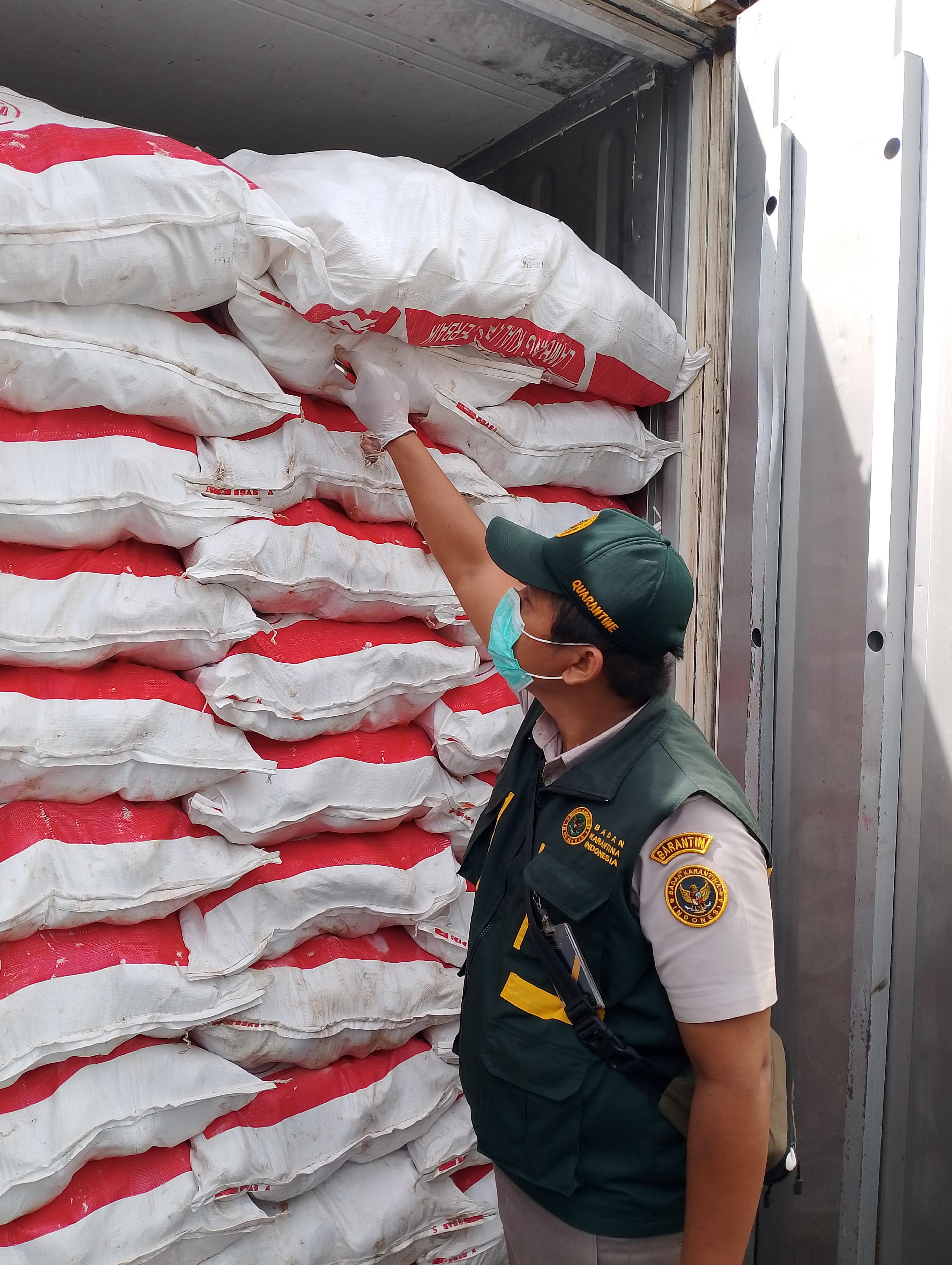 Karantina Sulawesi Utara Musnahkan 15 Ton Daging Ayam Busuk